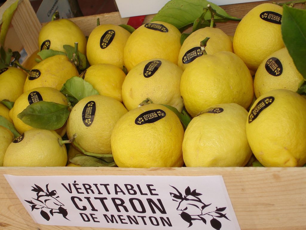 les citrons de menton